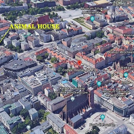 Animal House - StayinWrocław Exteriör bild