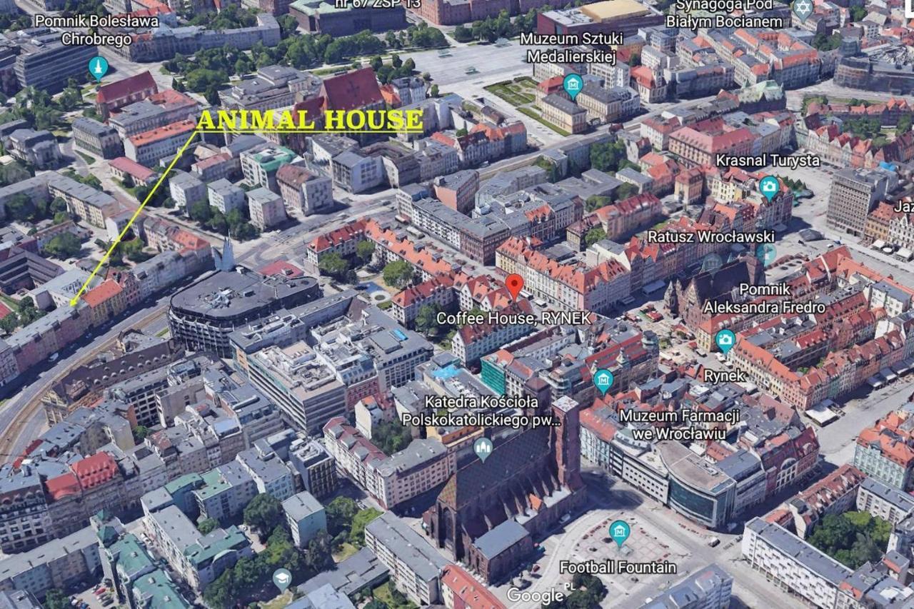 Animal House - StayinWrocław Exteriör bild